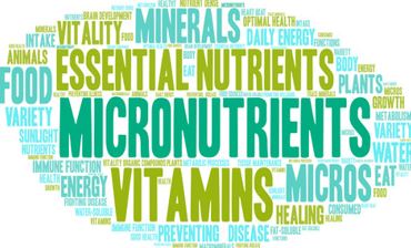 Qué son los micronutrientes